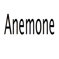 Anemone