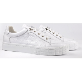 NESSI 21026/BIALY 3 NESSI 21026/BIALY 3