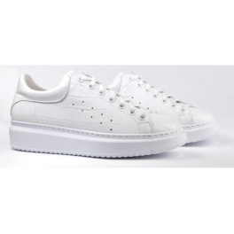 NESSI 21527/BIALY 1 NESSI 21527/BIALY 1