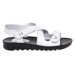 STEPTER 6209/WHITE