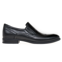 IKOS 3367-1/BLACK/LICO IKOS 3367-1/BLACK/LICO