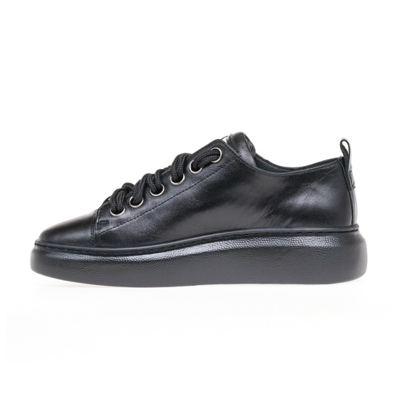 Кеди КЕДИ STEPTER 7915/BLACK/LICO