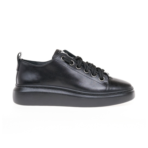 Кеди КЕДИ STEPTER 7915/BLACK/LICO
