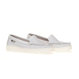 NESSI 22170/BIALY 412