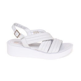 NESSI 22203/BIALY 3