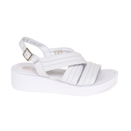 NESSI 22203/BIALY 3