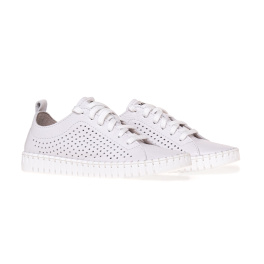 NESSI 22168/BIALY 412 NESSI 22168/BIALY 412