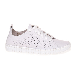 NESSI 22168/BIALY 412