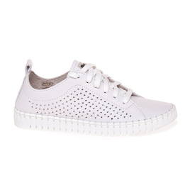 NESSI 22168/BIALY 412
