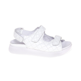 STEPTER 7885/WHITE