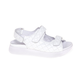 STEPTER 7885/WHITE