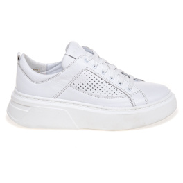 NESSI 23413/BIALY 12