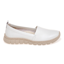 NESSI 23430/BIALY 411