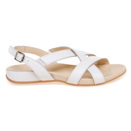 STEPTER 8133/MOLOKO/LICO