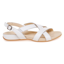 STEPTER 8133/MOLOKO/LICO