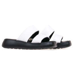 NESSI 23459/BIALY 12