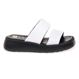 NESSI 23459/BIALY 12