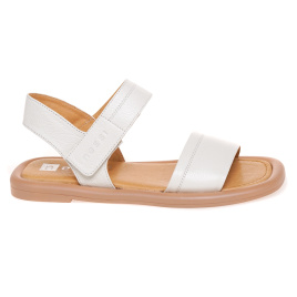 NESSI 23471/BIALY 411