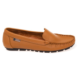 NESSI 17130/CAMEL 12