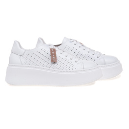 NESSI 24579/BIALY 12