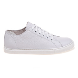 NESSI 24593/BIALY 412