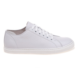 NESSI 24593/BIALY 412