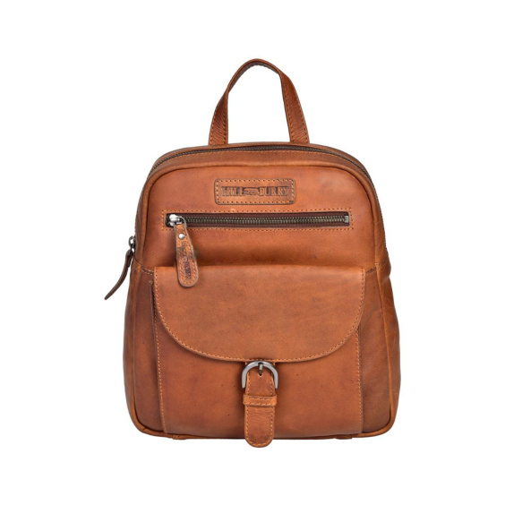 Сумка жіноча HILL BURRY 1715/BROWN