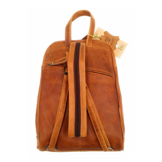 Сумка жіноча HILL BURRY 2399/BROWN