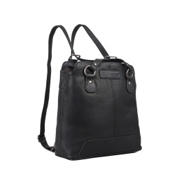 HILL BURRY 4065/BLACK HILL BURRY 4065/BLACK