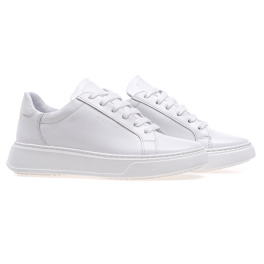 STEPTER 8654/WHITE LIC STEPTER 8654/WHITE LIC