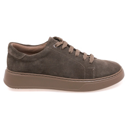 STEPTER 8806/BROWN WELL