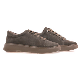 STEPTER 8806/BROWN WELL STEPTER 8806/BROWN WELL