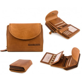 HILL BURRY 5181 BROWN