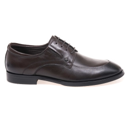 ANEMONE AL5325D-02-T2/COFFEE LEATHER