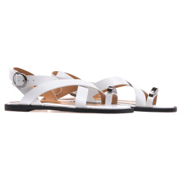 LOTTINI 11-7068-19/G526+09+G526