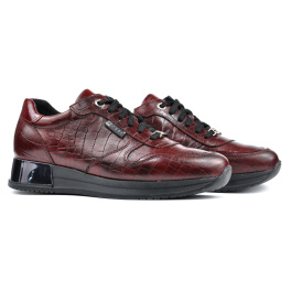 NESSI 20771/BORDO COCCO 2 NESSI 20771/BORDO COCCO 2