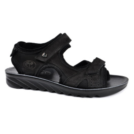 STEPTER 7179/BLACK NUB