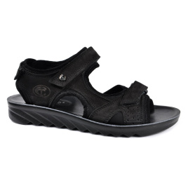 STEPTER 7179/BLACK NUB
