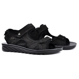 STEPTER 7179/BLACK NUB